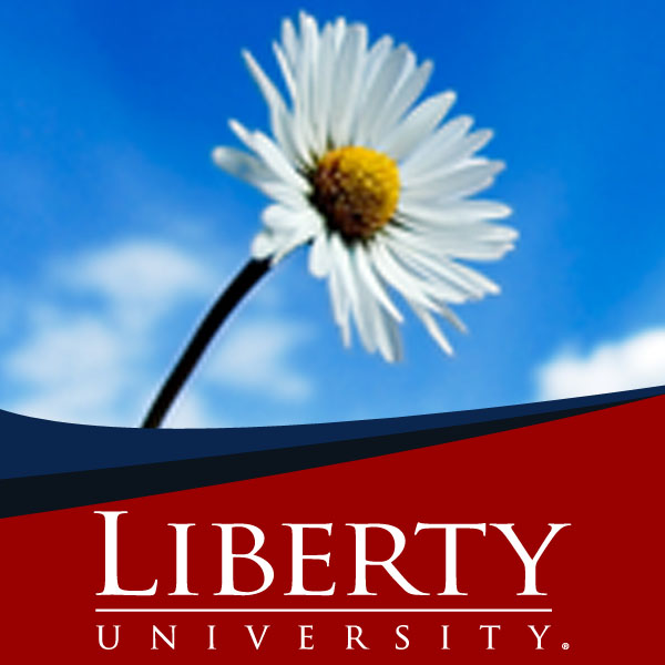 PSYC336 - Gerontology